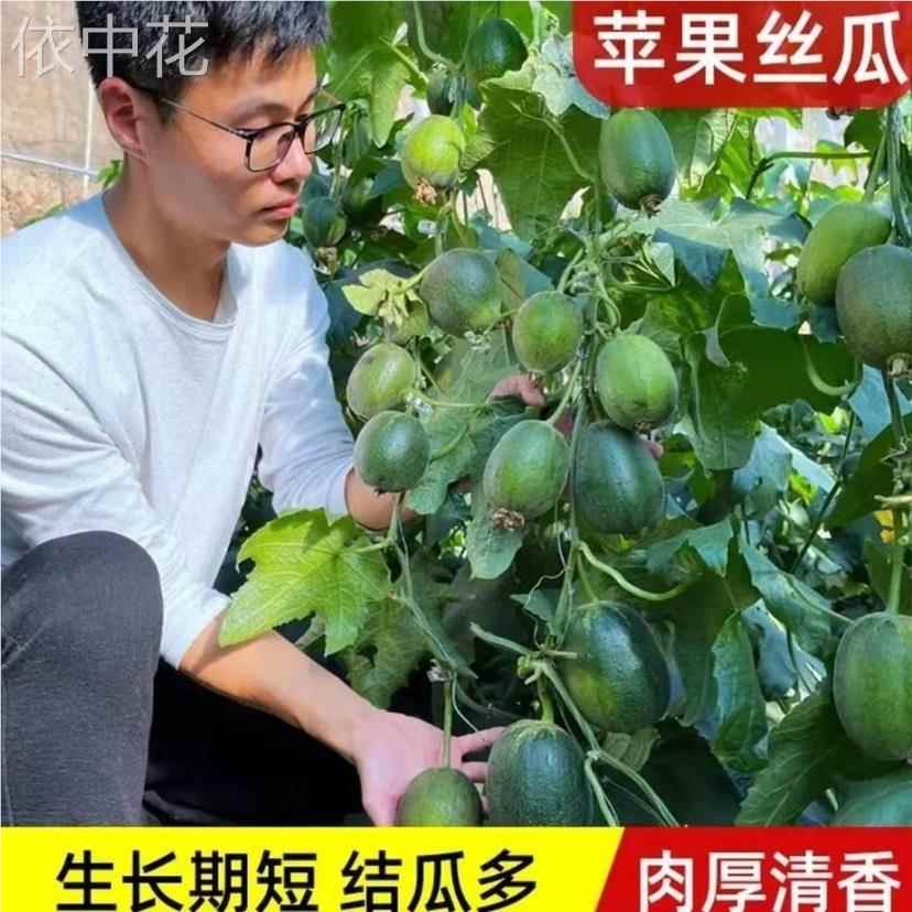 菜瓜视频苹果版苹果隐藏带颜色的app-第2张图片-太平洋在线下载