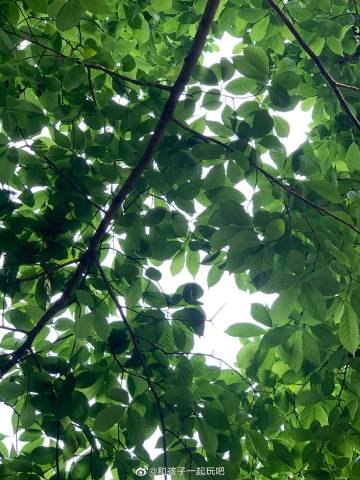 玩吧苹果手机版玩吧苹果安卓不能一起玩吗